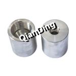 ASTM A403 Threaded Pipe Fitting Coupling