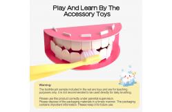 China ASTM Brushing Teeth Model For Homeschool Learning supplier