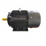 Radial Flux Permanent Magnet Motor for sale