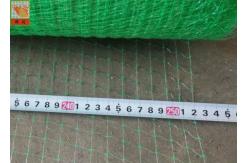 China Green Square Polypropylene Mesh Screen For Erosion Control Blanket supplier