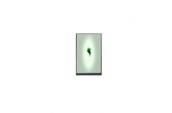China NEW 8.0 inch P080DDD-AB2 800*1280 WLED LCD Panel supplier
