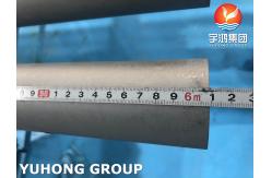 China ASTM A790 UNS S32205 Duplex Steel Seamless Pipe For Oil And Gas supplier