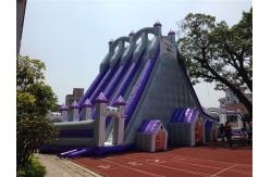 China Big 12 People Tarpaulin 0.55mm Commercial Inflatable Water Slides supplier