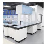 Customized Number Of Lockers And Drawers All Steel Lab Bench For Laboratories for sale
