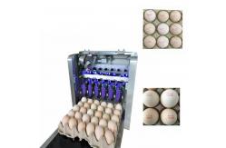 China Eggs Batch Code Food Inkjet Printer , Continuous Laser Marking Machine  supplier