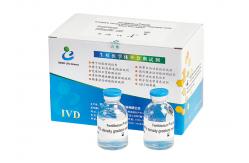 China 40 80 Sperm Washing Medium / Density Gradient Medium For Separating Motile Sperm supplier