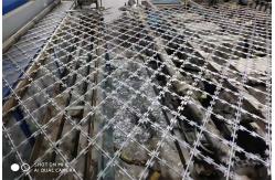 China China Factory Supply Welded Razor Mesh Gives A Premium Protective Fence supplier