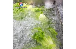China Residues Degraded Conveyor Belt Fruit And Vegetable Washing Machine 1000KG/H supplier