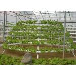 Easy Maintenance Nutrient Film Technique System With Strong Adaptability for sale