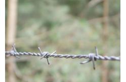 China Farm Protection Double Strand Reverse Twist Hot Dipped Galvanized Barbed Wire Roll supplier