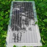30W 40W 50W 60W 80W Solar Panel PET Semi Transparent Solar Panel 1000V for sale