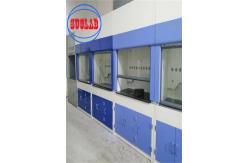 China Full Vertical Sash Opening Laboratory Fume Cupboard With Scrubber Tank supplier