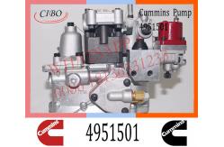 China Diesel Engine Parts Fuel Injection Pump 4951501 3042115 4061206 For Cummins NT855 supplier