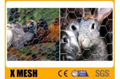 China 20 Ga rabbit chicken wire mesh Hexagonal Poultry Netting 3/4 acid proof supplier