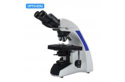 China OPTO-EDU A12.1502 WF10x Compound Optical Microscope supplier