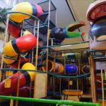 Environmentally Friendly Gym Indoor Playground Equipment Customization Size for sale