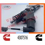 Diesel  QSM11 ISM11 M11 Engine Fuel Injector 4307516 4061851 for sale