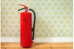 China Convex Ring 1kg Abc Fire Extinguisher 250mm Height Dry Powder Portable supplier