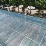 Transparent Plastic Mulch Film Agriculture 2-20m Width Allowing Maximum Light Transmission