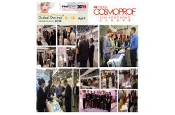 China IPL/SHR/OPT hair removal manufacturer