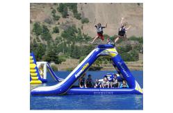 China Commercial Grade Inflatable Water Park Freefall Slide FREE Boarding Platform supplier