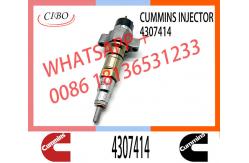 China Diesel Parts Fuel Injector 4307414 4359204 For Dongfeng Foton Cummins supplier