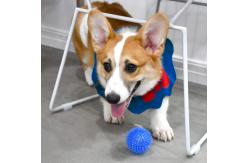 China Interactive Natural Rubber Dog Chew Toys Eco Friendly supplier