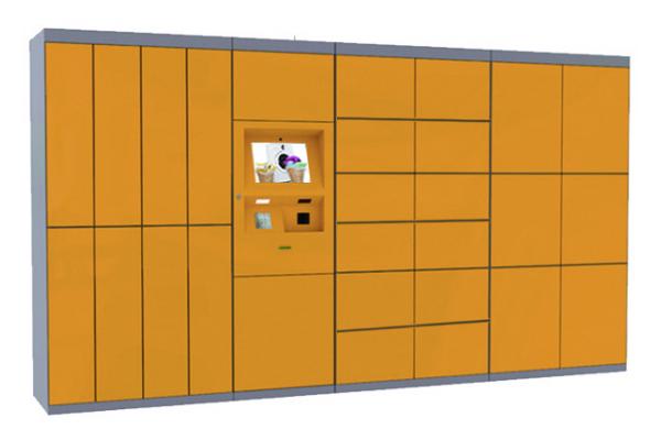 Intelligent Parcel Delivery Locker for Express Laundry Self Service