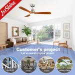 Lighting Solutions Service Lighting and Circuitry Design for 1stshine Ceiling Fan