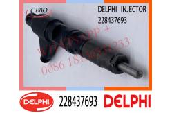 China 228437693 Delphi Genuine Diesel Engine Fuel Common Rail Injector supplier