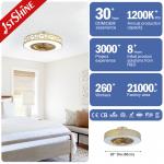 6 Speed 20 Inch Wind Deflector Dimming LED Ceiling Fan