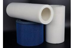 China High Temperature Polyester Mesh Belt Corrosion Resistant Square Hole supplier