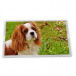 High Quality  LQ070Y3LG05A Stock LCD Modules Display From Quality Suppliers for sale