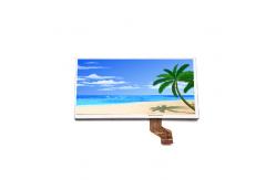 China 7.0 inch C070FW03 V1 TFT Specific Analog RGB 30 pins LCD Screen supplier