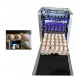 Multiple Nozzle Egg Batch Code Printing Machine With 0 - 5mm Printing Distance
