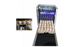 China Multiple Nozzle Egg Batch Code Printing Machine With 0 - 5mm Printing Distance supplier