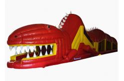 China Big Inflatable The Crocodile Obstacle Course / Outdoor Games Inflatable The Crocodile Bouncer supplier