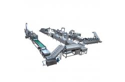 China Full Automatic Potato Chips Making Machine Frozen French Fries Machinery supplier