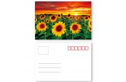 China Beautiful Flower Design 3D lenticular postcard printing PET/ PP Landscape supplier