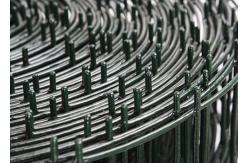 China PVC Coated Galvanized Welded Wire Mesh For Garden Fence supplier