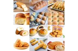 China Two speed double action spiral dough mixer supplier