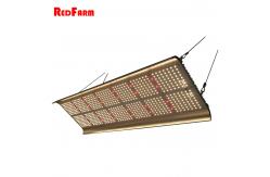 China High Lumen Hydroponics 330W G2 Quantum Board LED Grow Lights supplier