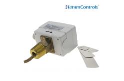 China Flow switch for chiller supplier