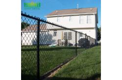 China Trellis Chainlink Football Q195 Garden Wire Mesh Fencing supplier