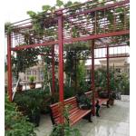 Fibreglass Frame Wood Imitated Garden Grape Trellis For Rest Areas
