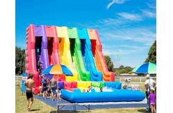 China Plato Outdoor Inflatable Water Slides With Pool Jumping Bouncer House supplier