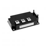 Automotive IGBT Modules PM600DV1A060 High Performance Intelligent Power Modules for sale