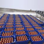 40TPH Tomato Processing Line Automatic Concentrated Paste Making Machine for sale