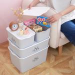 Living Room Bedroom Underwear Plastic Organizer Box With Lid for sale