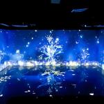 Room Decorations Digital Art Museum Exhibition 3d Immersive Mapping Projector for sale